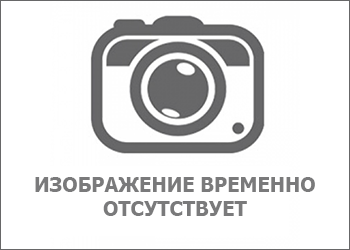 ОСОБЕННОСТИ РАБОТЫ С VIP-КЛИЕНТОМ ПРИ РАЗЛИЧНЫХ ЗАБОЛЕВАНИЯХ